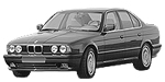 BMW E34 P042A Fault Code